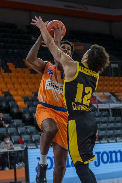 以获取最新 以获取最新